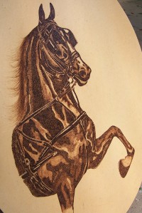 stippled horse in harness on oval shape